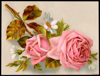 DIY Mulberry Silke Suzhou Broderi Sæt Trykte Mønstre Håndarbejde Kits Pink Rose 30*40cm jfxy