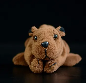 Gratis shiping nye 14cm lille bæver dukke simulering beaver blød legetøj til baby, børn gave