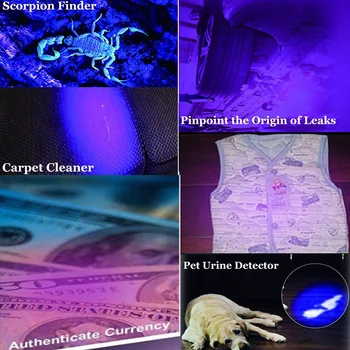 100 LED-UV Blacklight Lommelygte Super Lyse 10 W 395 nm Violet Ultra Hånd UV-Lampe Brænder Lys For Pengene ,Bed Bugs, Scorpions