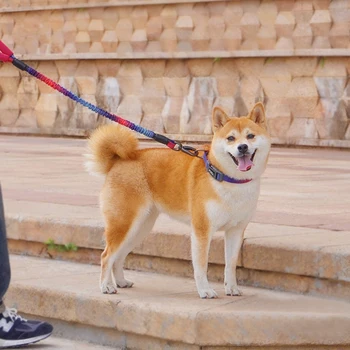 HOOPET hundesnor Trykt Nylon Pet Snor Reb Til Små og Mellemstore Hunde Blød Pet Gå Snore Chihuahua