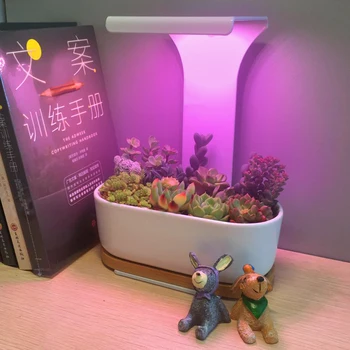 Indendørs USB-LED-Grow Light Bruser Vokse Lampe-Timeren Phyto Lampe Fulde Spektrum Plante Lys For Saftige Blomster og Kaktus IR-VU Lys