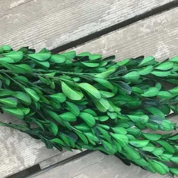 500g Rigtig Tør Bevaret Buxus Sinica Evige Små Blade,Tørrede Frisk og Naturlig for Evigt Buksbom Blomster, Grene Til Hjemmet Indretning