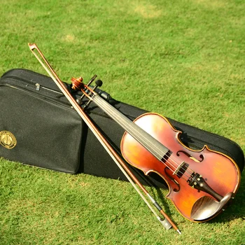 Ny Christina E02 Ahorn Violin 4/4 for begyndere bruge musikinstrumenter,håndlavet ebony violin dele,med violin tilfælde,bue,harpiks
