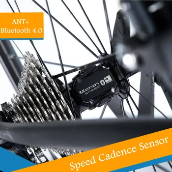 Handling Cykel Computer ANT+ Hastighed, Kadence-Sensor til Cykel Hastighed Og Kadence Sensor Egnet Til GARMIN iGPSPORT Bryton Sport App