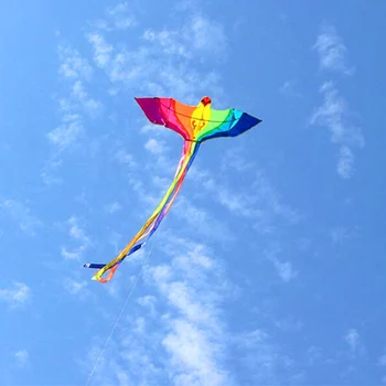Gratis forsendelse fugl kite ripstop kite cometas infantiles fabrik barn kite family fun kitesurfing windsurf udstyr faldskærm