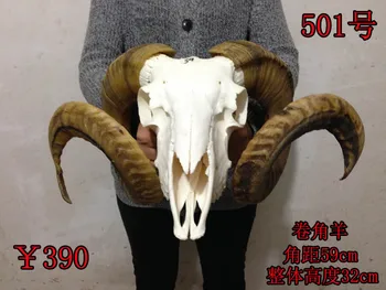 Hoved Kunst Håndværk Direkte producenter virkelig Tibetanske får skalle skalle kunsthåndværk, dekorationer af Tibet yak får får ko
