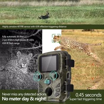 Mini 300 Jagt Trail 12MP Kamera/1080P Full HD Infrarød nat nat Dyreliv Scouting 1,9 tommer LCD-udendørs Jagt Cam