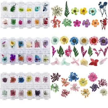 1 Box Mix Farver Trykkes Tørret Blomst Tørre Planter Til Epoxy UV-Resin Vedhæng Smykker at Gøre DIY Nail Art Dekoration