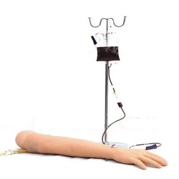Livet Størrelsen Anatomiske Flebotomi Venepunktur Praksis Arm anatomyInjection praksis Medicinsk Simulator Sygeplejerske Training kit